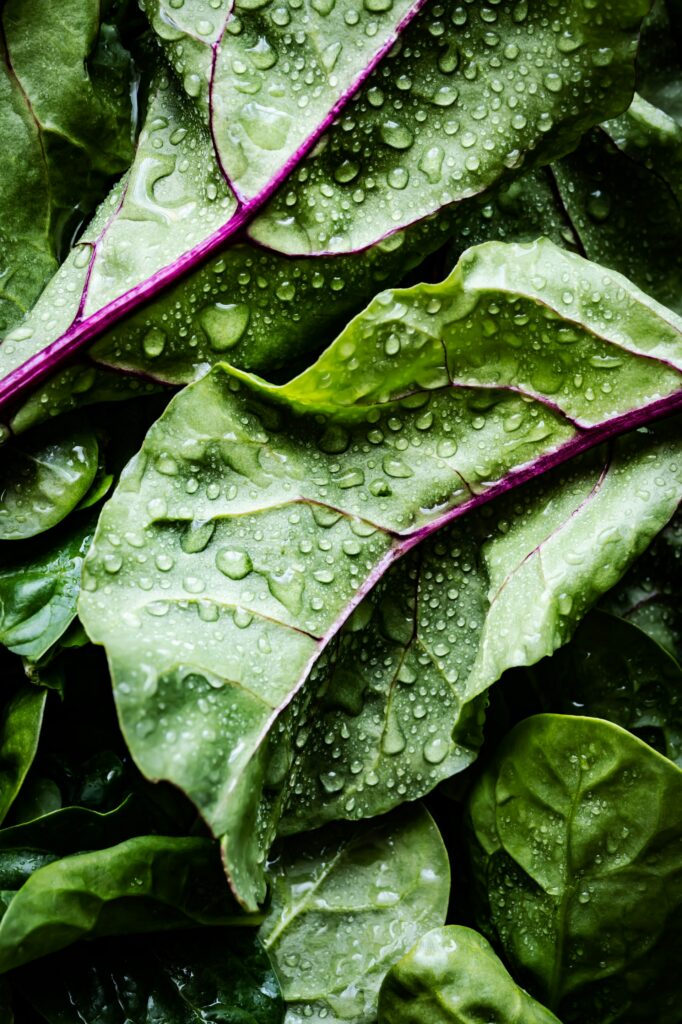 Sebzeler En Sağlıklı Nasıl Pişirilir? Vitaminleri Kaybetmeden Pişirmenin 8 Doğru Yolu